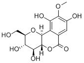 Bergeninum