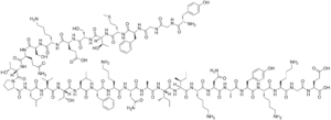 Beta-Endorphin