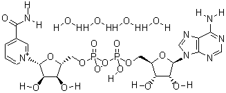 Beta-Nicotinamide adenine dinucleotide