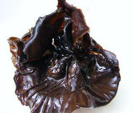 Black Fungus Extract