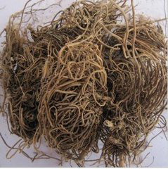 Blackend Srallowwort Root Extract