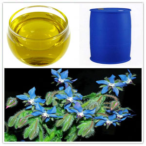 Borage seed oil extract