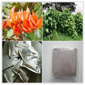 Butea Superba Extract