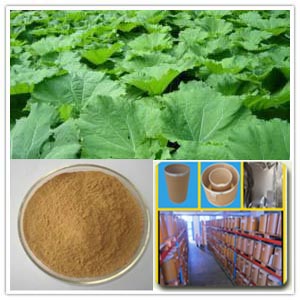 Butterbur Extract