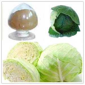 Cabbage Extract