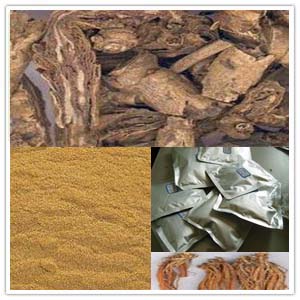 Calamintha Chinensis Benth Extract