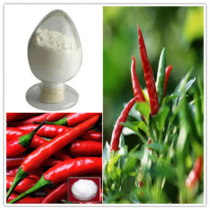 Capsicum Annuum Extract, Capsiate Extract