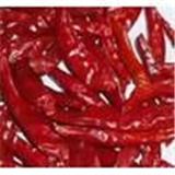 Capsicum Oleo resin (liquid)