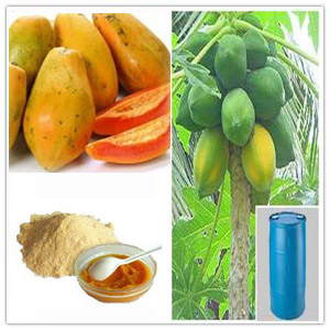 Carica Papaya Extract