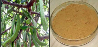 Carob bean extract