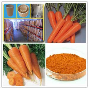 Carrot Extract