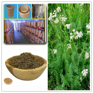 Carum carvi extract