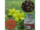 Catclaw Buttercup Root Extract