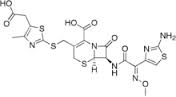 Cefodizime acid