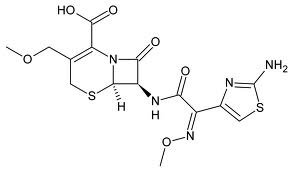 Cefpodoxime