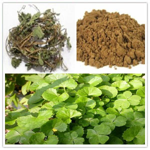 Centella asiatica extract