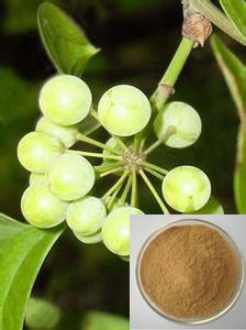 Chinaroot Greenbrier Rhizome Extract