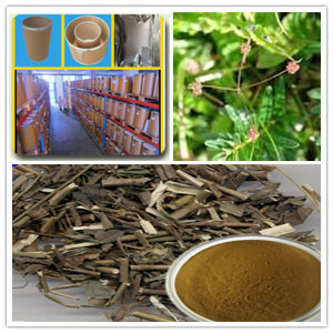 Chinese Thorowax Root P.E.