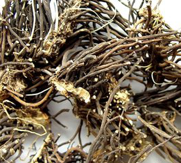 Chinese clematis root and rhizome extract