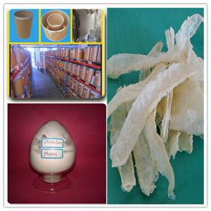 Chitosan Extract