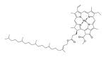 Chlorophyll A