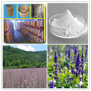 Clary sage extract