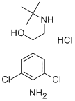 Clenbuterol HCL powder