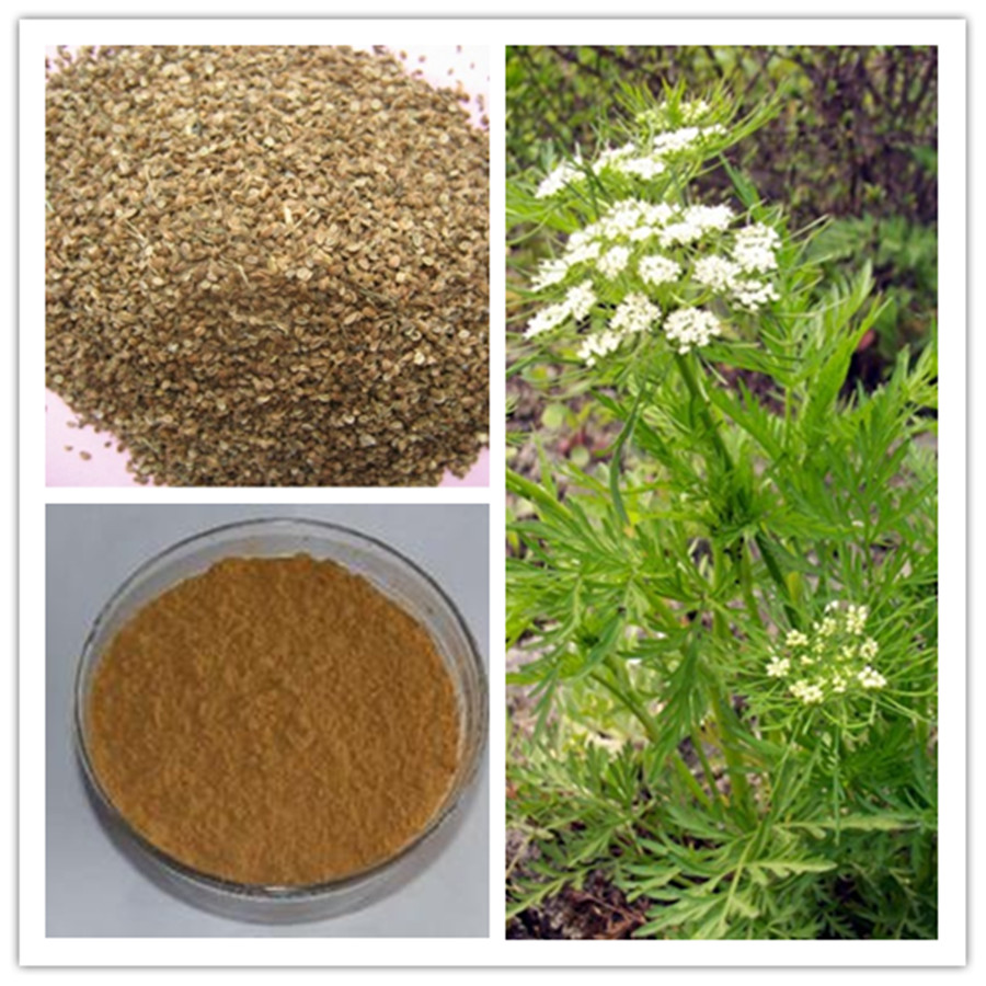 Cnidium Monnieri Extract