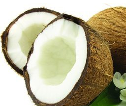 Coconut Extract