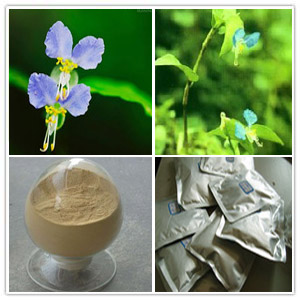 Common Dayflower Herb Extract