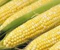 Corn Color