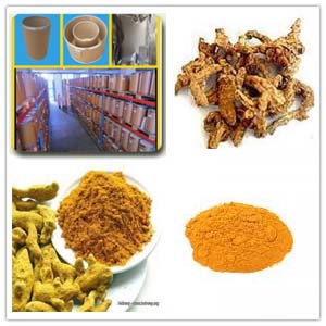 Curcumin Extract