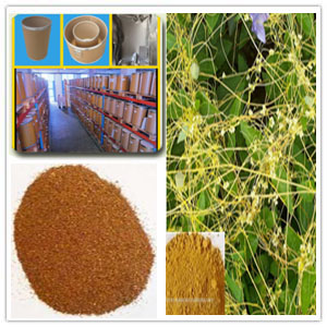 Cuscuta Chinensis Extract