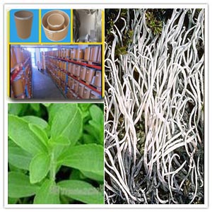 Daxinganling Tea Extract(Thamnolia Vermicularis)