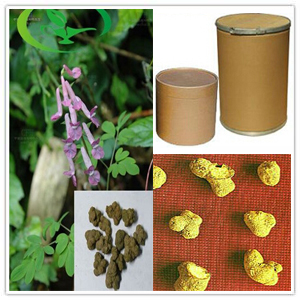 Decumbent Corydalis Rhizome Extract