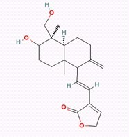 Dehydroandrographolide