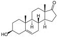 Dehydroepiandrosteron