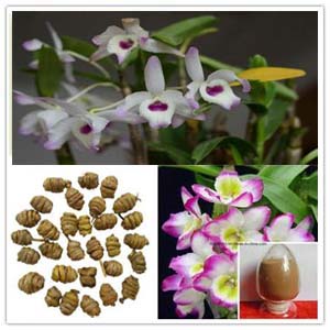 Dendrobium Extract