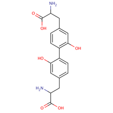 Dityrosine