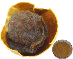 Dried Longan Pulp Extract