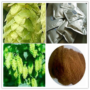 Dry Hops Extract