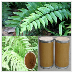 Dryopteris Extract