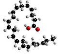 EPA ,Omega 3 fatty acid