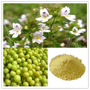 Emblica officinalis Extract