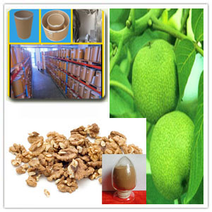 English Walnut Seed Extract