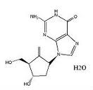 EntecavirMonohydrate