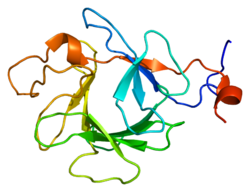 Fibroblastgrowthfactor 23