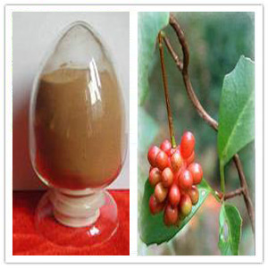 Fructus schisandrae chinensis Extract