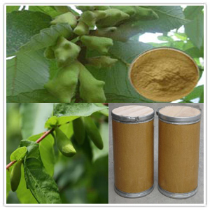 Gallnut Extract