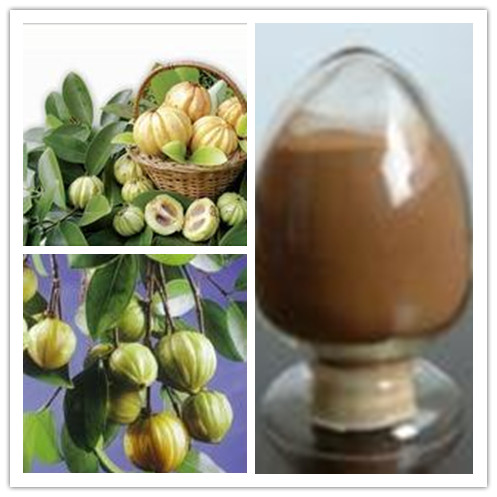 Garcinia cambogia extract